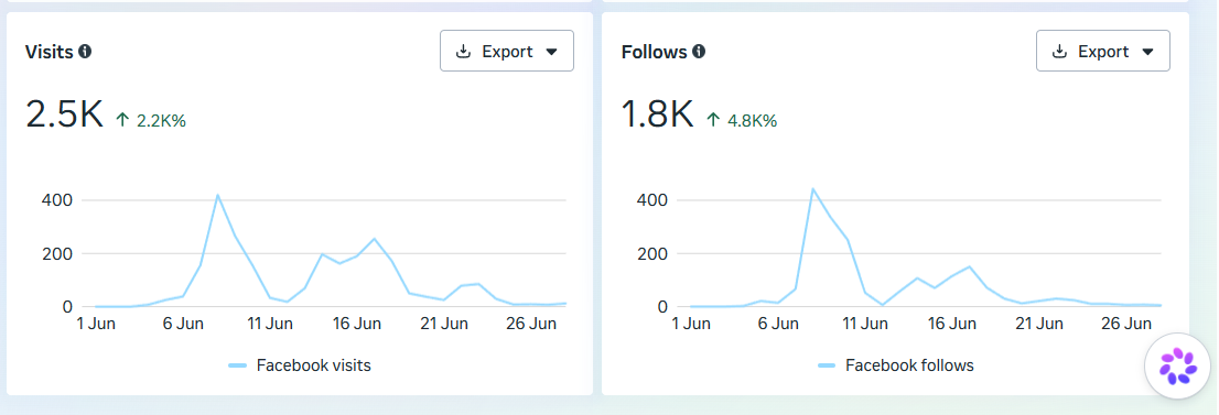 Facebook visits and follows analytics